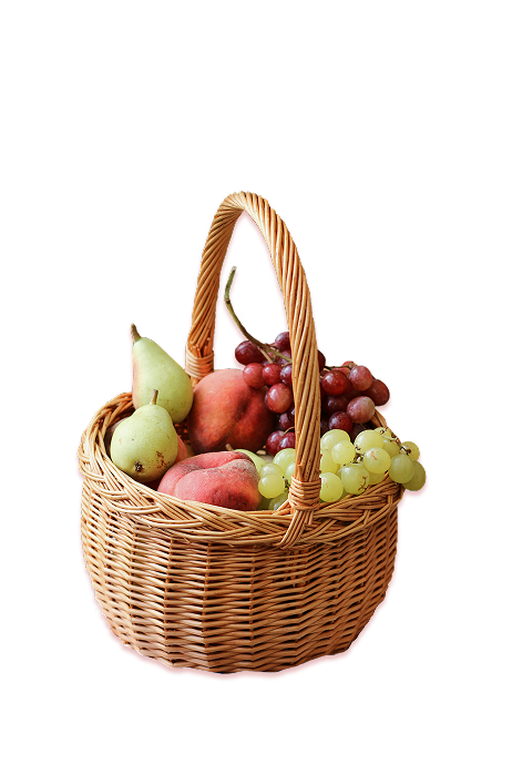 Fruit Basket